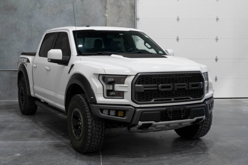 Ford Raptor build