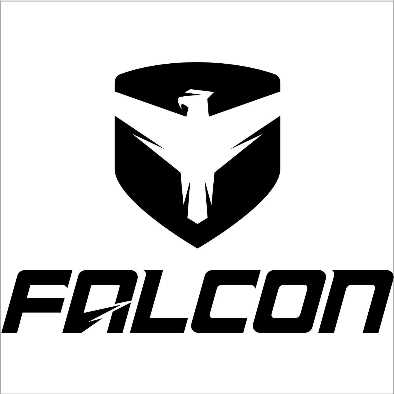 Falcon Shocks