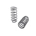 Belltech Lowering Springs 5114 view 2