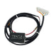 ORACLE 6 Output LED Animated Startup Sequencer Module
