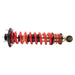 Belltech Coilover Kit 15202 view 5