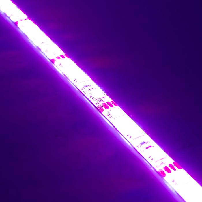 ORACLE Engine Bay LED Lighting Kit 48 in. UV/Purple