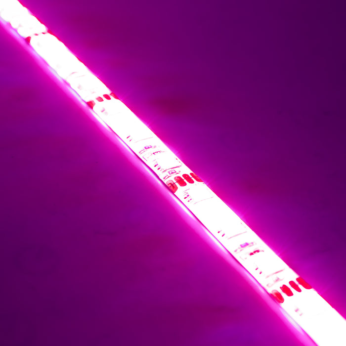 ORACLE Engine Bay LED Lighting Kit 48 in. Pink