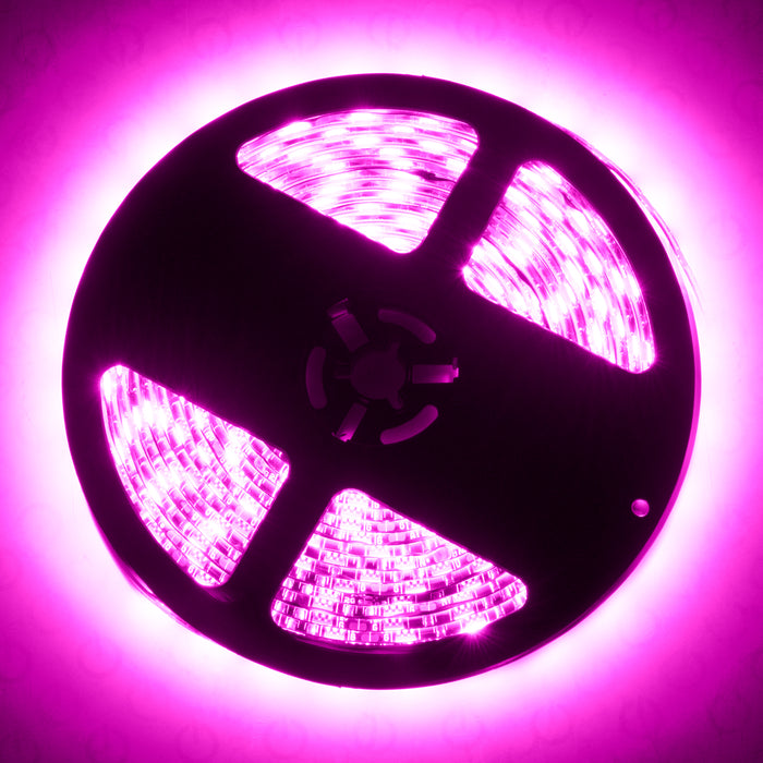 ORACLE Exterior Flex LED Spool Pink