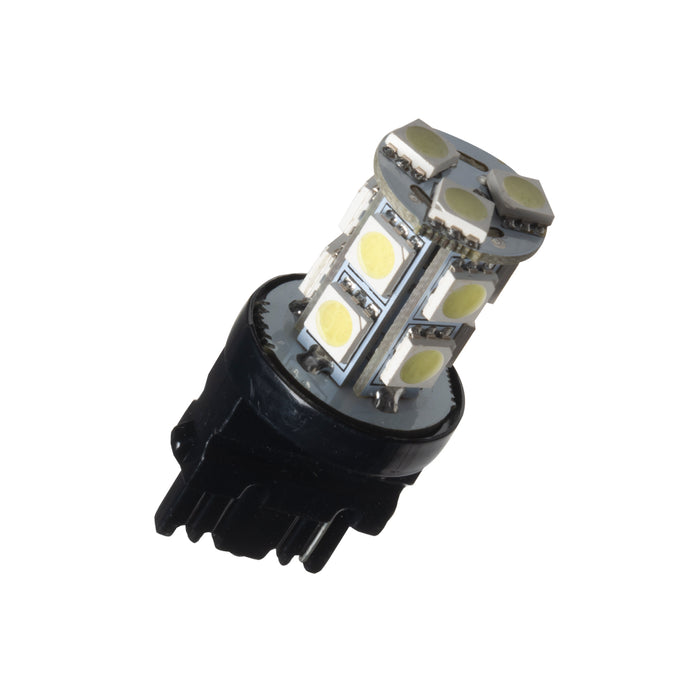 ORACLE 3156 13 LED Bulb (Single), Cool White