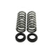 Belltech Lowering Springs 12604