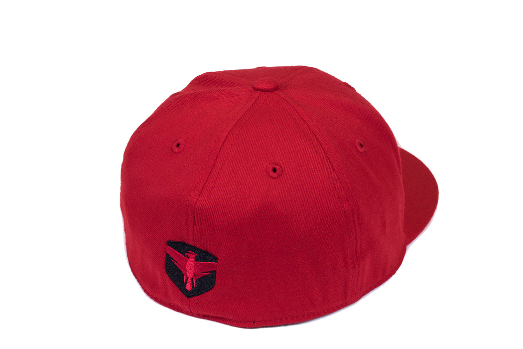 FALCON Shocks FlexFit Flat Visor Hat