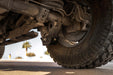 2021-2025 RAM 1500 TRX/RHO Rear Shock Guards, view 5