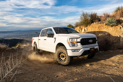 BDS 2 Inch Leveling kit, 2.5 Performance Elite Series, Ford F150 (2021-2025) 4WD