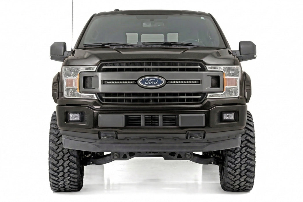 Rough Country Fender Flares, SF1, TB Real Steel, Ford F-150 2WD/4WD (2015-2017), view 5